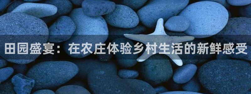 天辰娱乐appxi