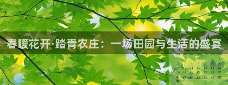 天辰娱乐电话