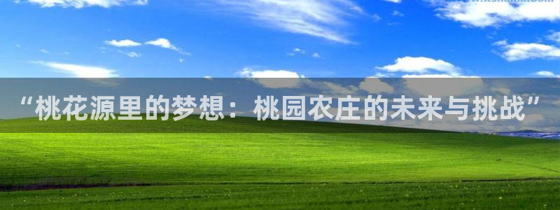 天辰娱乐官网