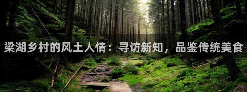 天辰娱乐 qq