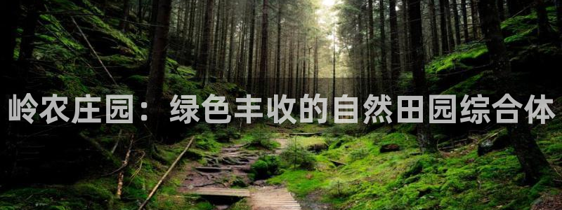 天辰娱乐557448