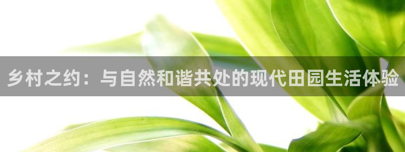 天辰娱乐连接