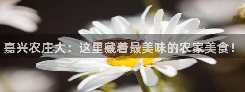 天辰娱乐跑的快