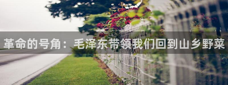 天辰娱乐官方登录入口