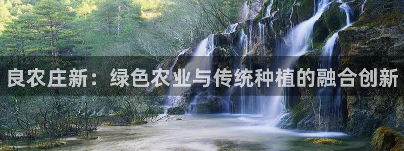 天辰娱乐输了