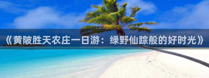 天辰娱乐上级