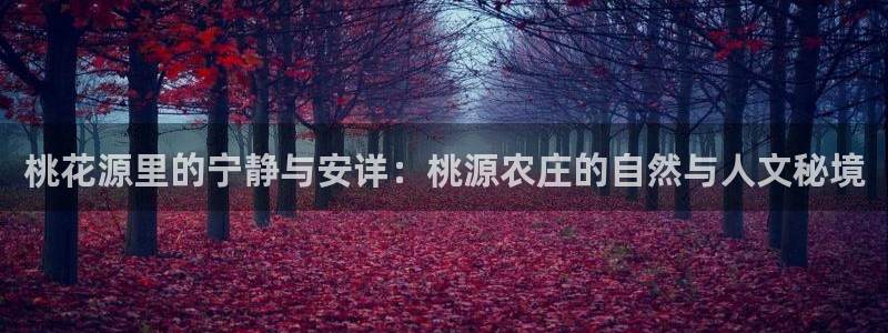 天辰娱乐所