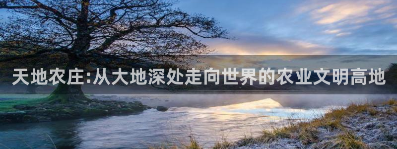 天辰娱乐平台地址