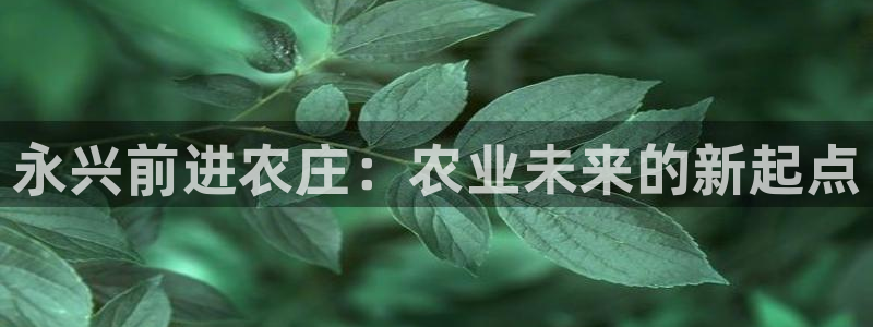 手机上怎么下载天辰娱乐