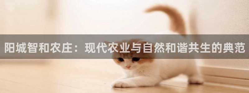 天辰娱乐平台靠谱么