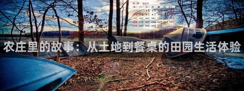 天辰娱乐官网平台下载