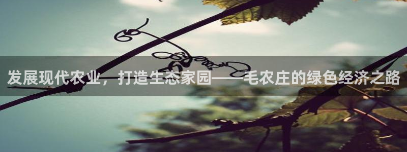 天辰娱乐十分彩