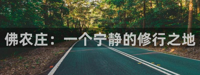 天辰娱乐白屏