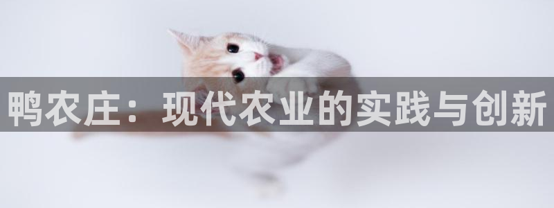 天辰娱乐官方网