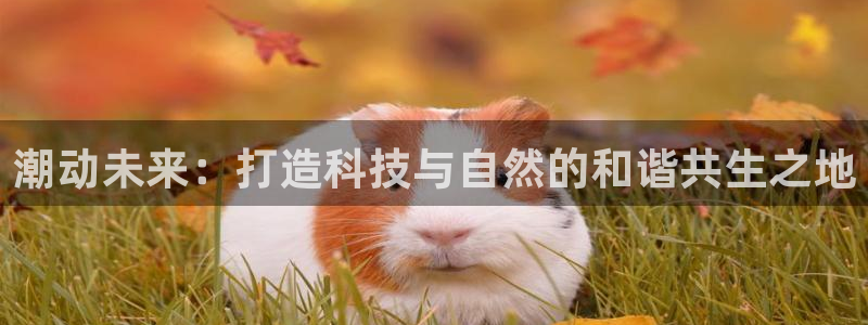 天辰娱乐下载地址