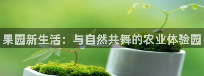 天辰娱乐会员