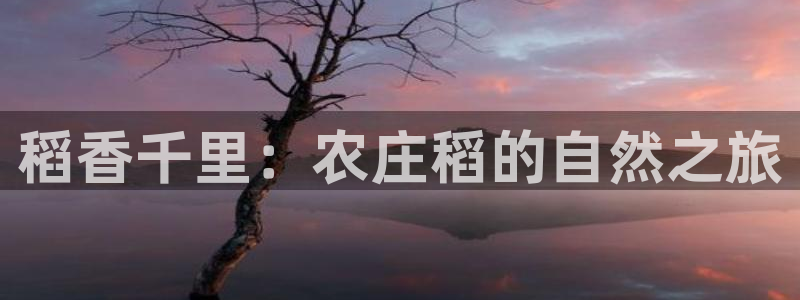 哈尔滨天辰娱乐