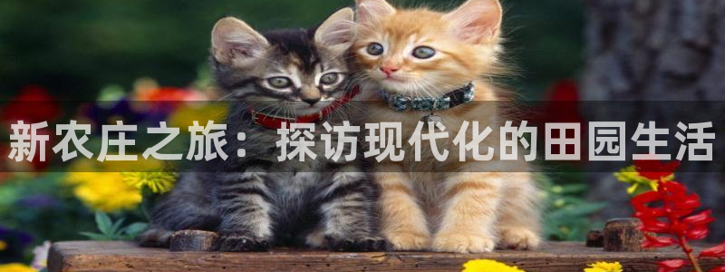 天辰娱乐信誉