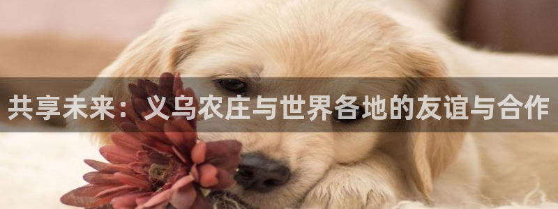 天辰娱乐游客