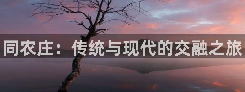 手机上怎么下载天辰娱乐