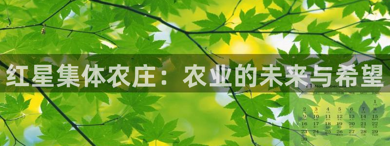 天辰娱乐咋样