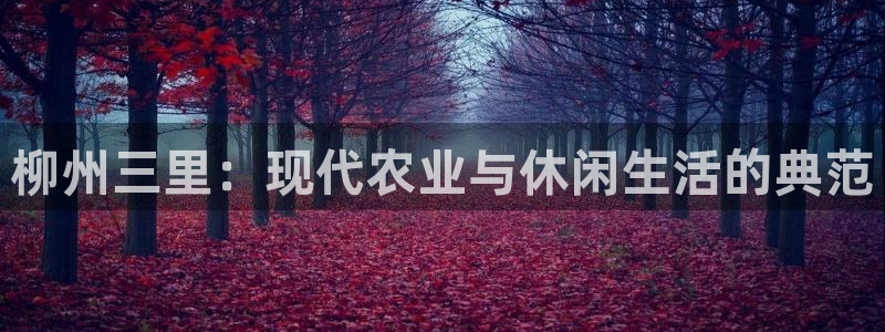 桂林天辰娱乐