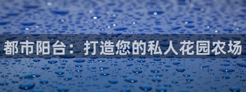 南京天辰娱乐