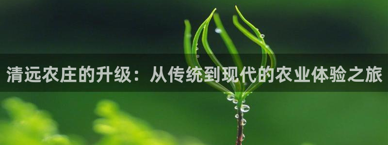 天辰娱乐传媒