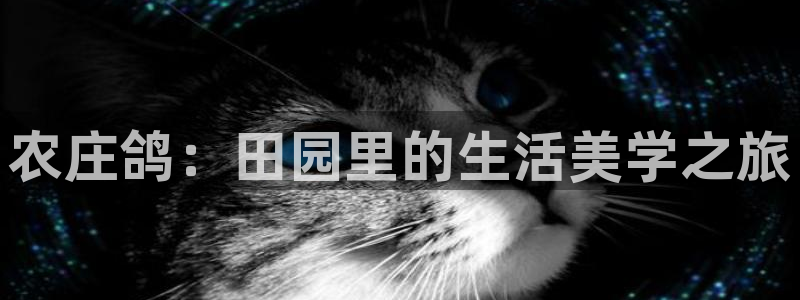 天辰娱乐简介