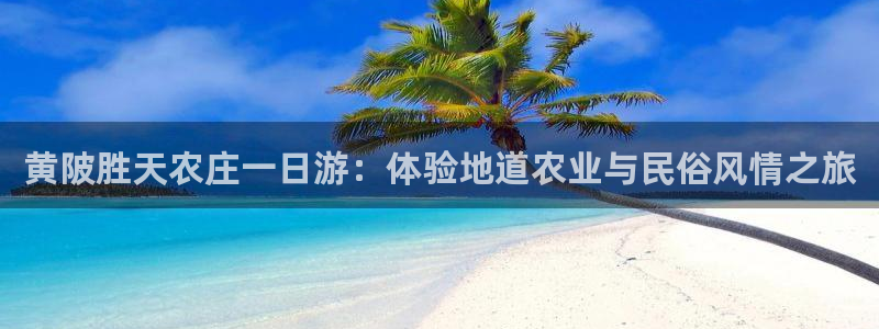 天辰辰娱乐代理