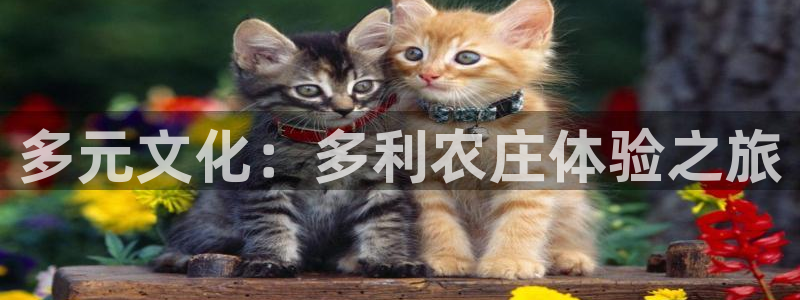 天辰娱乐股票