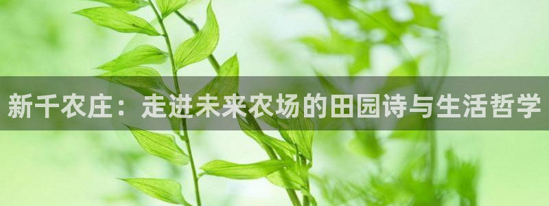 天富天辰娱乐