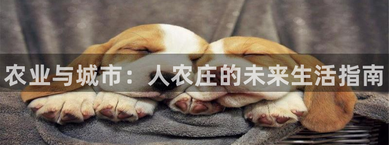 天辰2娱乐
