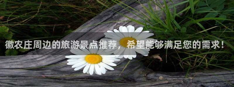 天辰娱乐论坛