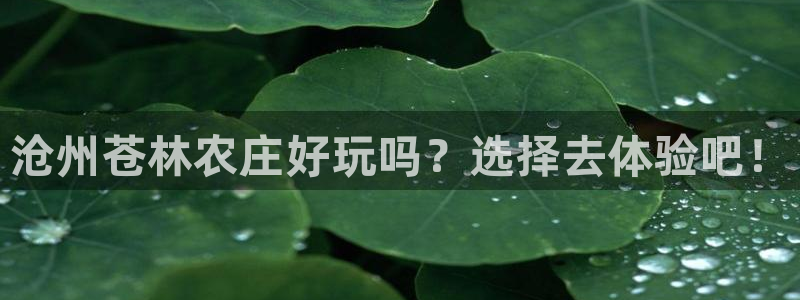 大庆天辰娱乐