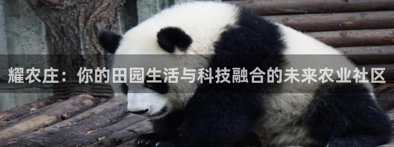 天辰娱乐在哪