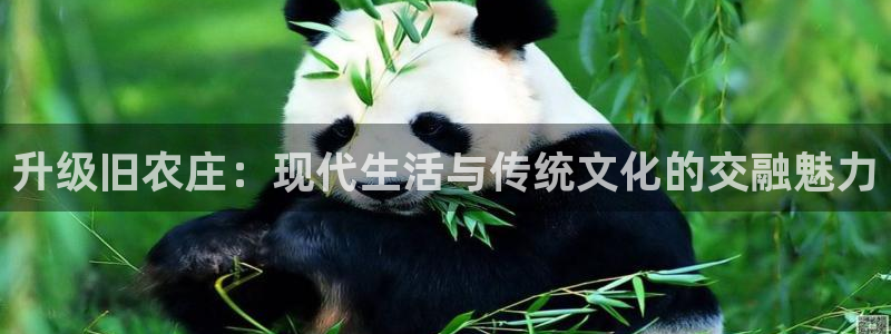 天辰宝宝娱乐