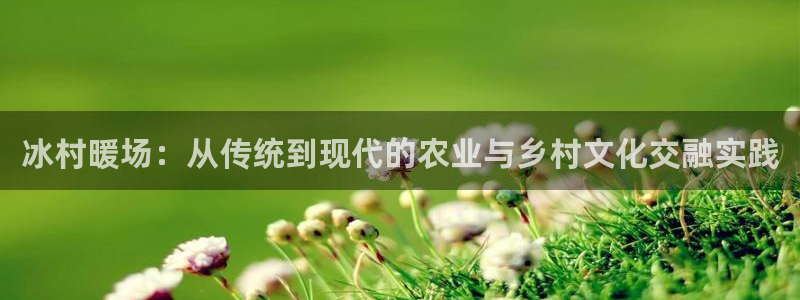 天辰宝娱乐