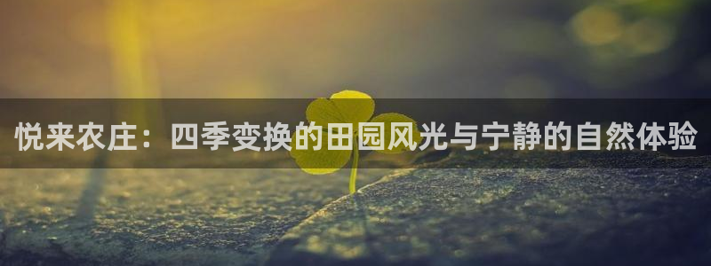 深圳天辰娱乐