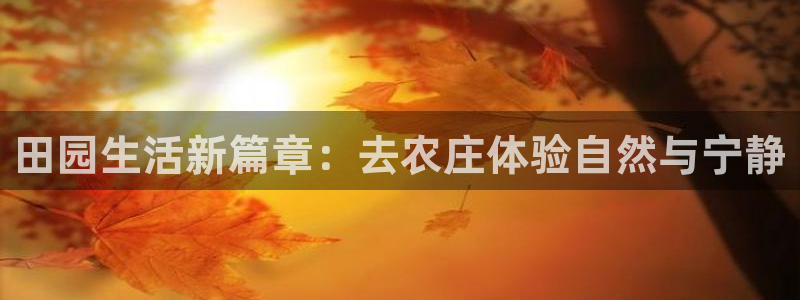 天辰娱乐官网平台下载