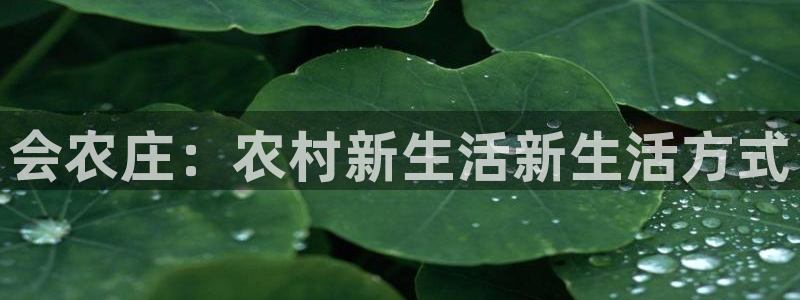 天辰娱乐网址娱乐游戏