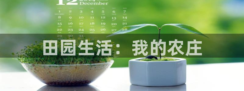 天辰娱乐平台靠谱么