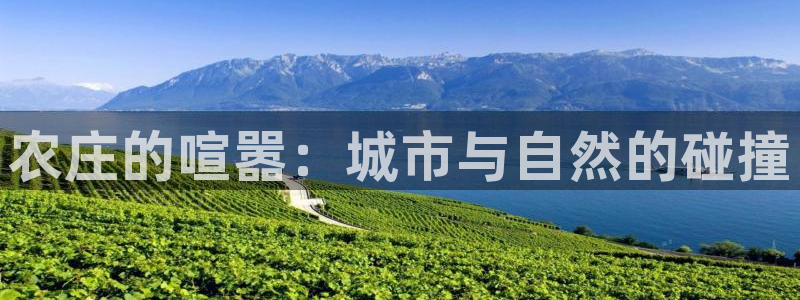 天辰娱乐游戏平台怎么样