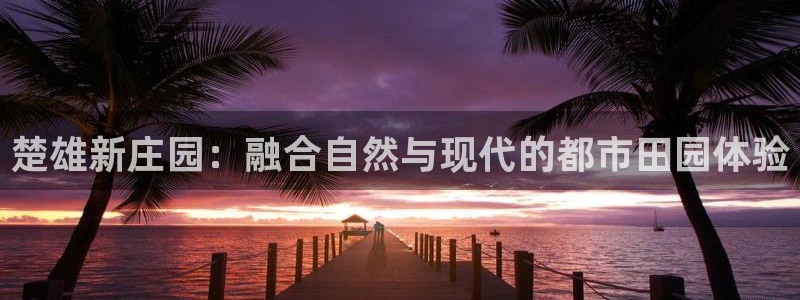 天辰娱乐集团