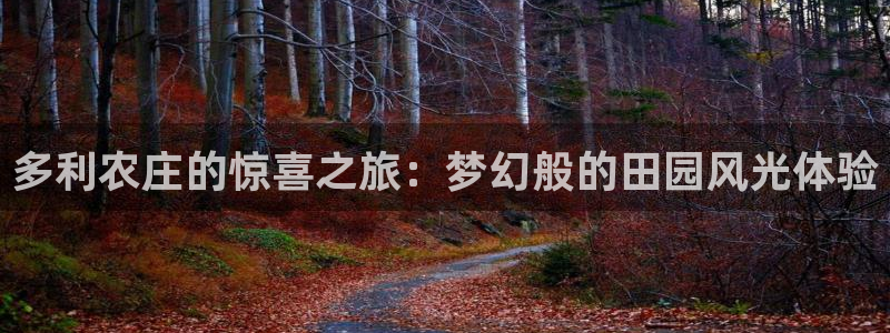 菲律宾天辰娱乐