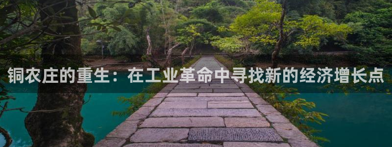 天辰娱乐股票