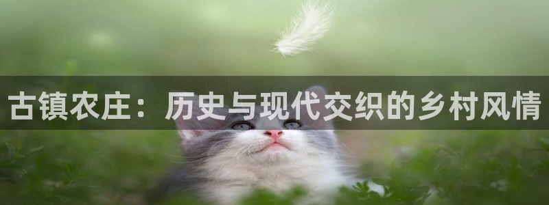 天辰娱乐棋牌