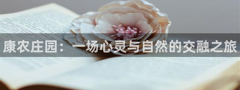 天辰娱乐十分彩