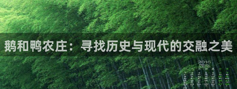 天辰宝宝娱乐