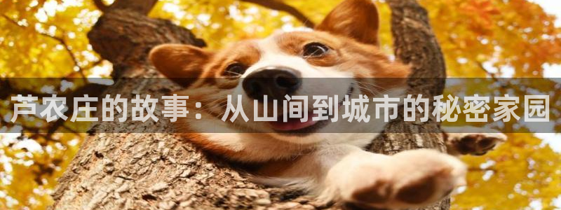 天辰娱乐指尖所